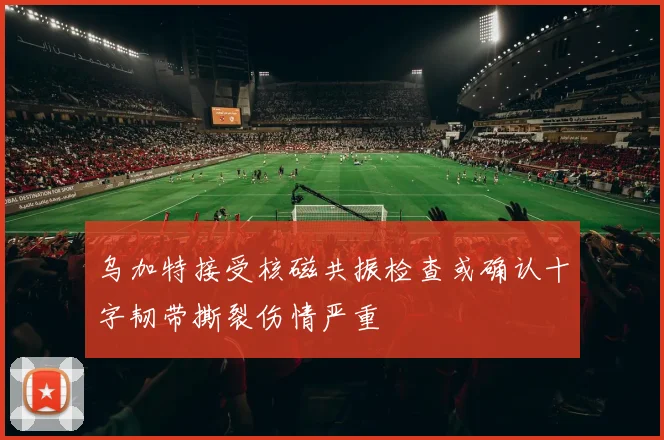 乌加特接受核磁共振检查或确认十字韧带撕裂伤情严重