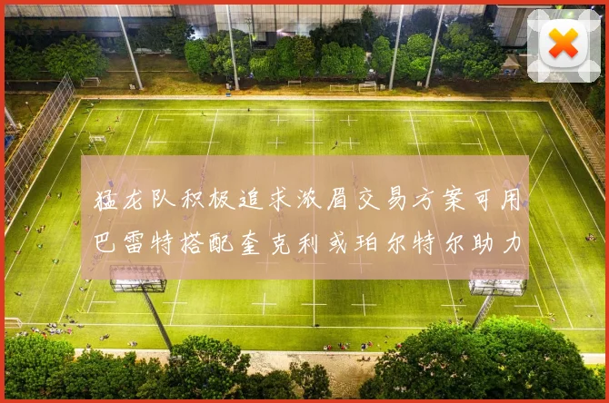 猛龙队积极追求浓眉交易方案可用巴雷特搭配奎克利或珀尔特尔助力交易